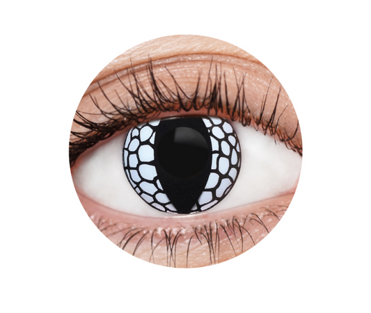 A close-up of an eye featuring Infinityfaces Special Effects Mehron EyeFix - White Dragon contact lenses. The lens displays a black and white reptilian scale design with a vertical slit pupil, surrounded by natural eye details and eyelashes.